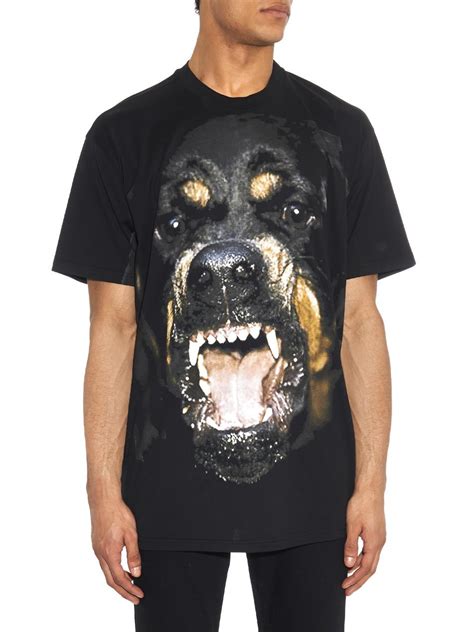 Givenchy rottweiler t shirt sale